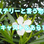 ドラマ「ミステリと言う勿れ」9話キャストとあらすじ