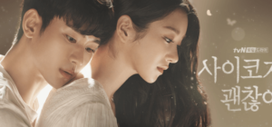 「サイコだけど大丈夫」の配信はどこ?ネトフリ・U-NEXT・Huluの配信予定