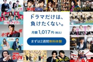 Paravi(パラビ)の特徴!メリット・デメリットのまとめ