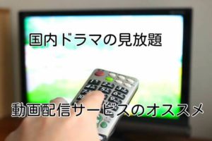 国内ドラマの見放題!動画配信サービスの比較