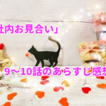 「社内お見合い」9~10話のあらすじ感想!