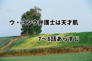 韓国で視聴率独走中「ウ・ヨンウ弁護士は天才肌」7～8話あらすじ・感想