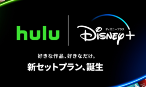 Hulu|ディズニープラスセットプランの入会と変更方法を解説